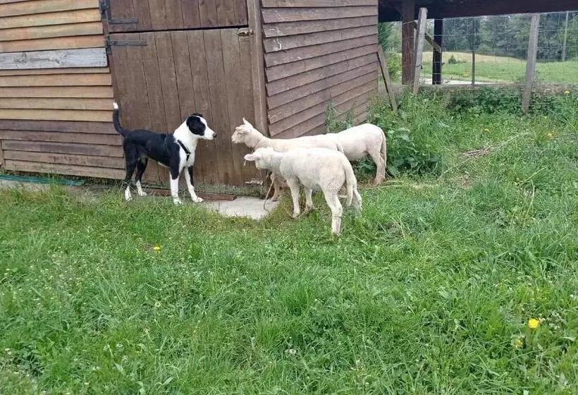 Majatalo Ferme De Fenivou