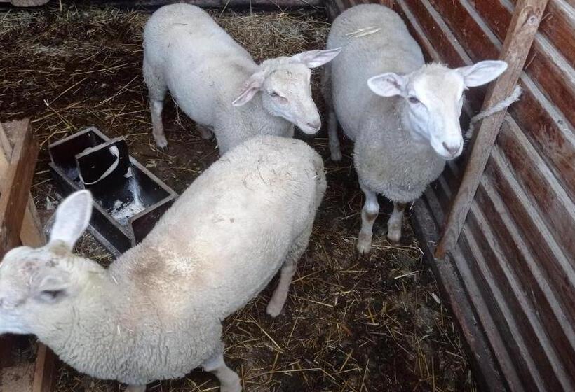 ペンション Ferme De Fenivou