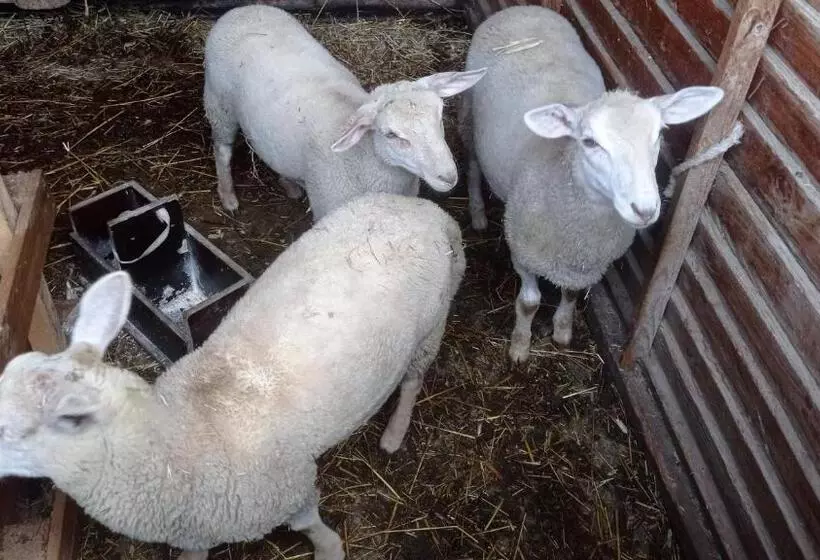 Majatalo Ferme De Fenivou