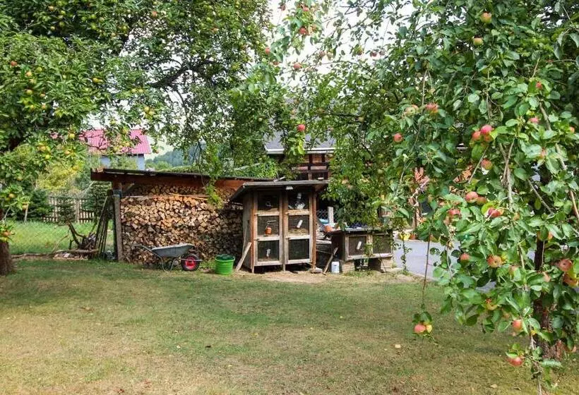 ペンション Haus Sonnenwalde   Familie Ruhe