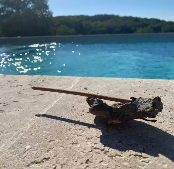 ペンション Maison D Hôtes à La Ferme Une Pause à La Guette