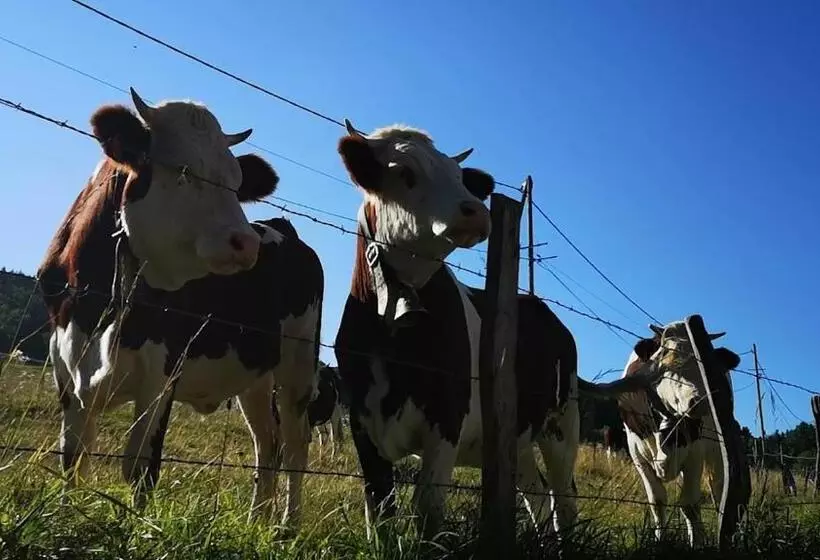 Majatalo Maison Le Rozet