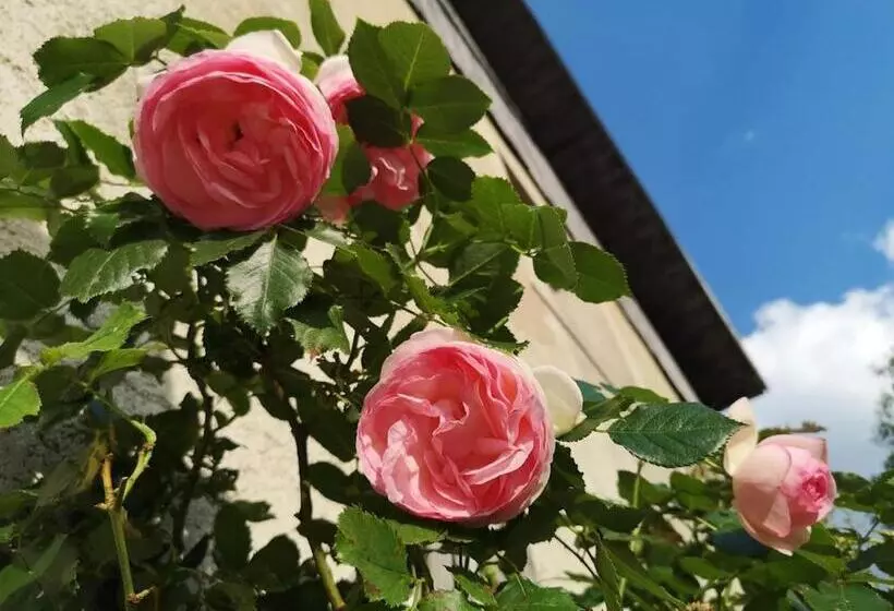 Majatalo Maison Le Rozet