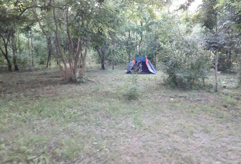 Пансион Perla Neagră Lotus Spa