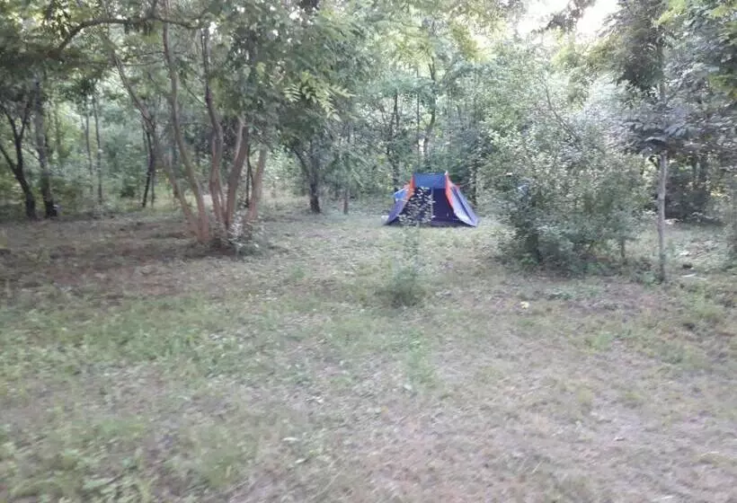 Majatalo Perla Neagră Lotus Spa