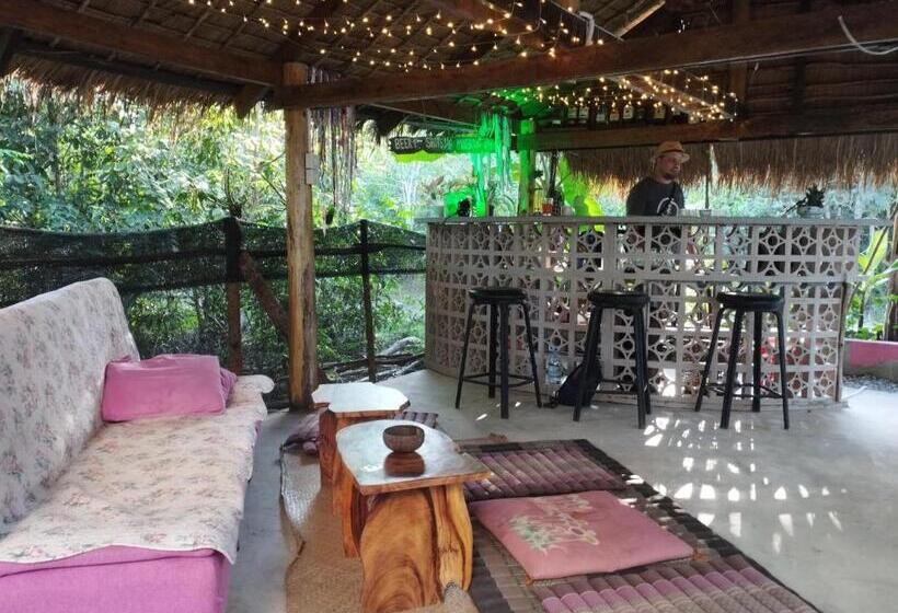 פנסיון The Cocoon