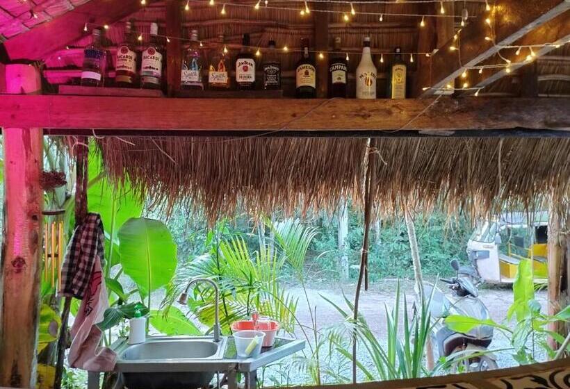 פנסיון The Cocoon