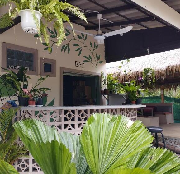 פנסיון The Cocoon