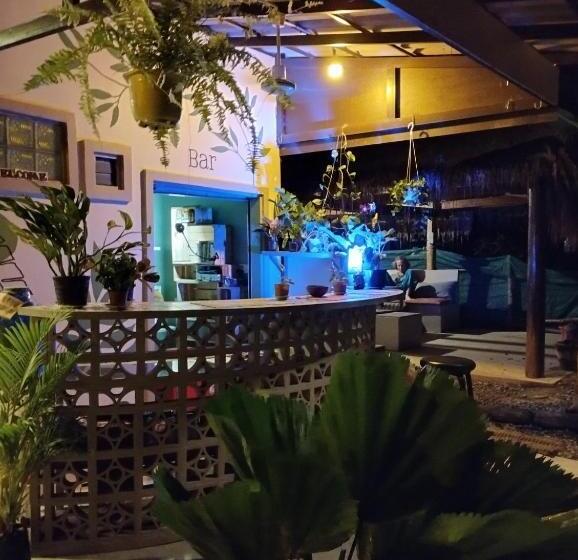 פנסיון The Cocoon