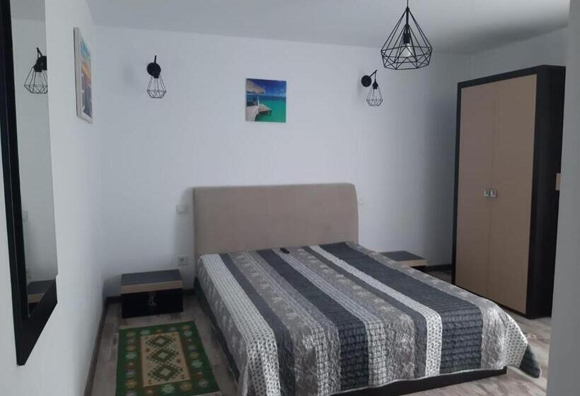 פנסיון Casa Dumitru