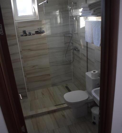 פנסיון Casa Dumitru