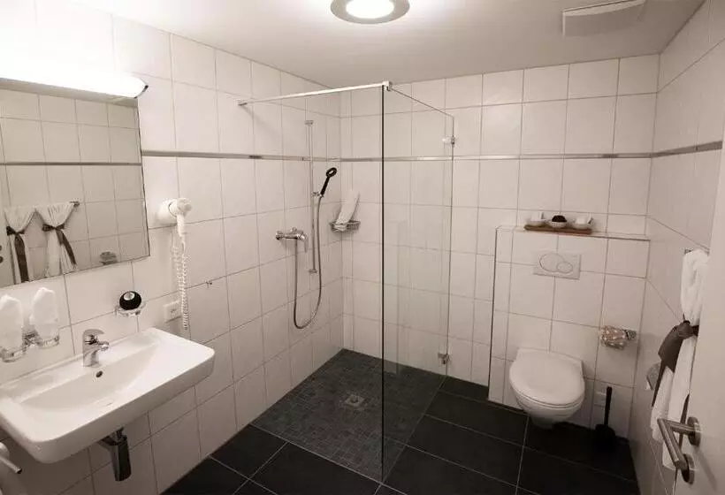 Retkeilymaja Gasthof Löwen Herznach