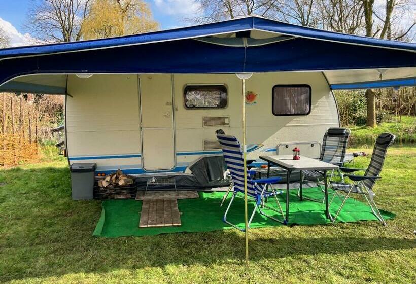 צימר De Kastanjehof 31