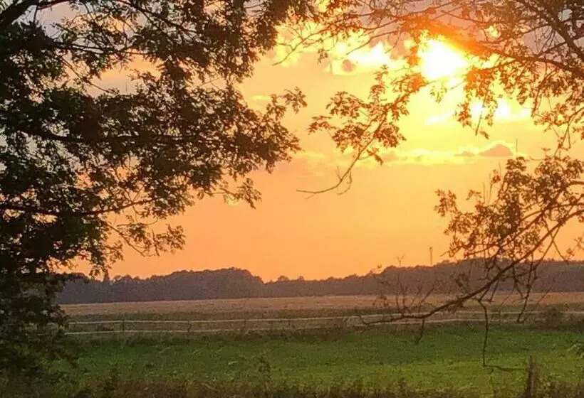 ベッドアンドブレックファースト De Kastanjehof 31