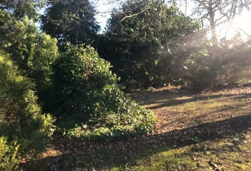 ベッドアンドブレックファースト De Kastanjehof 31