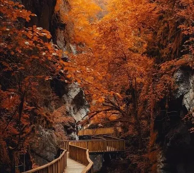 ベッドアンドブレックファースト Kanyon Park Otel Ve Restaurant