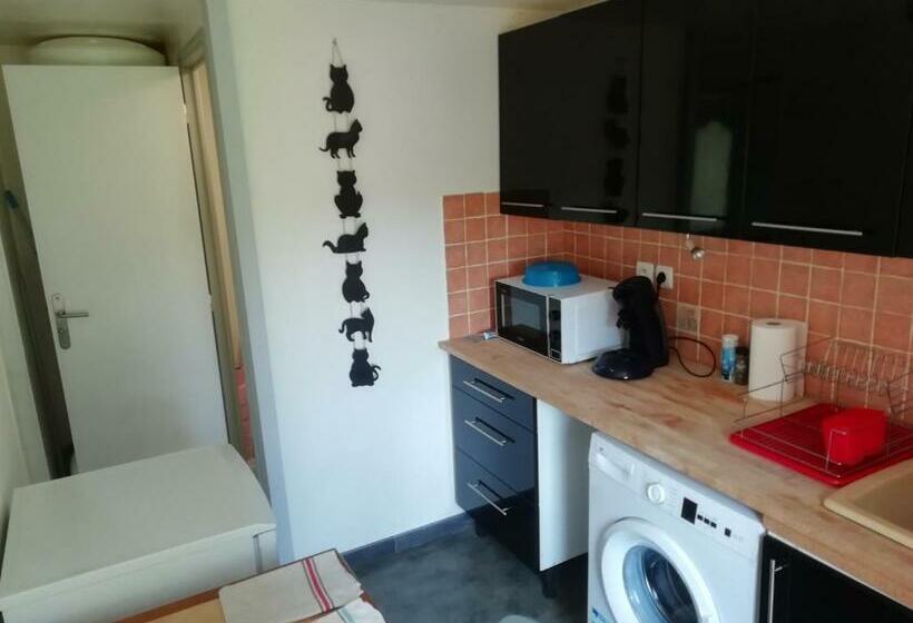 بنسيون A Louer Studio