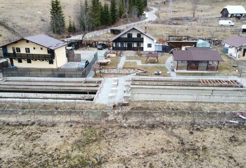 Pensiunea La Poalele Călimanilor