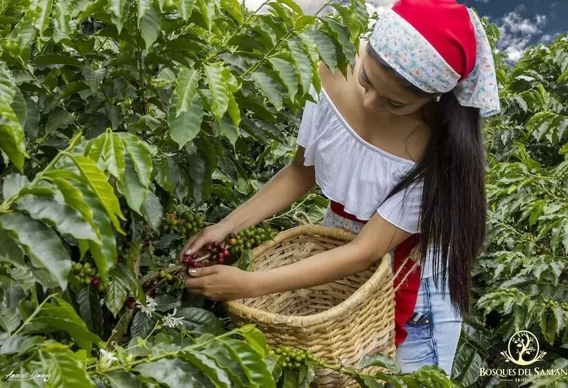Finca Hotel Bosques Del Samán Alcalá