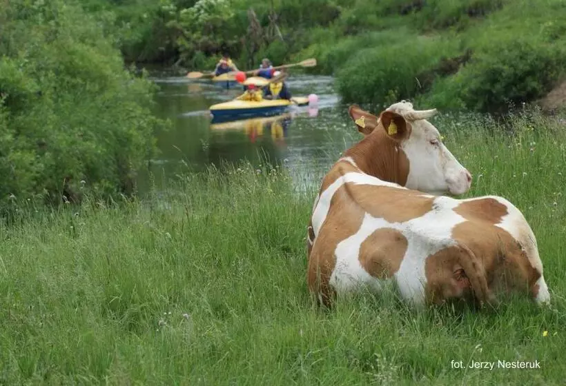 ホテル Dwór Bartnika