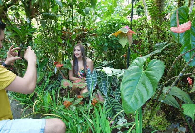 호텔 El Jardin Relax