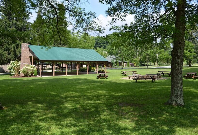 Отель Foggy Mountain Lodge