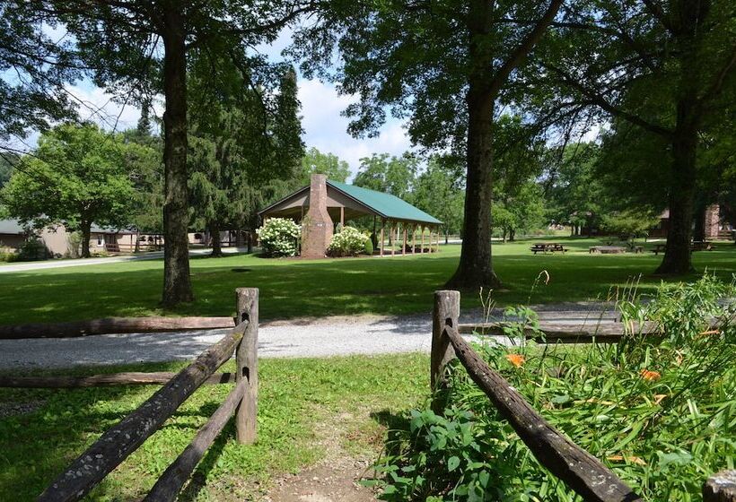 Отель Foggy Mountain Lodge