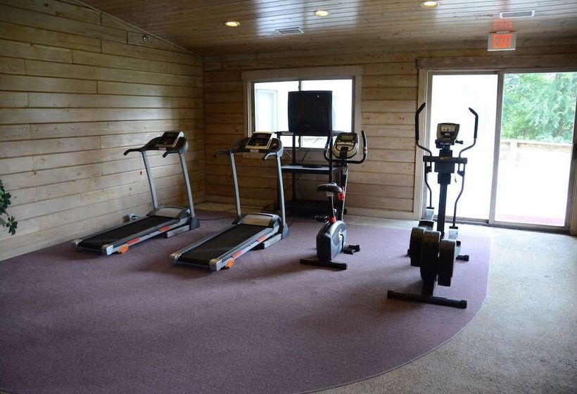 ホテル Paddle Wheel Inn