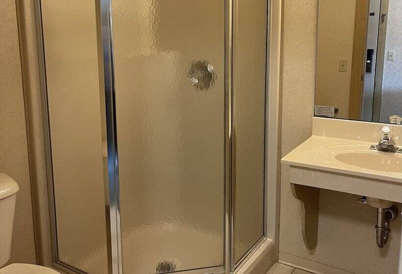 ホテル Paddle Wheel Inn