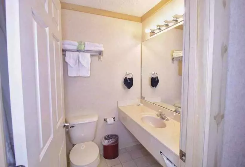 Hotelli Paddle Wheel Inn