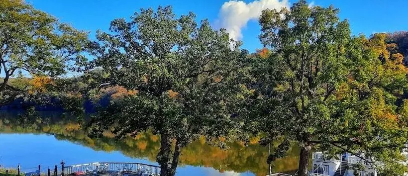 Hotelli Paddle Wheel Inn