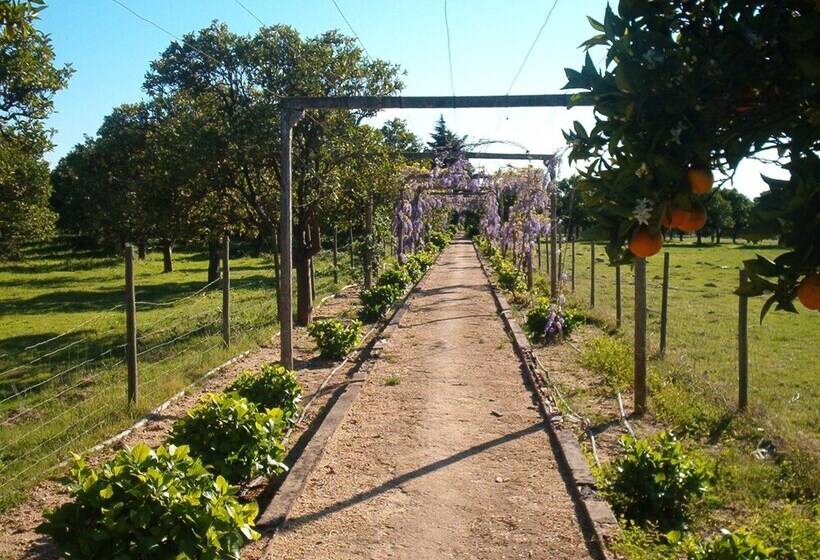 בית מלון כפרי Quinta Do Casalinho