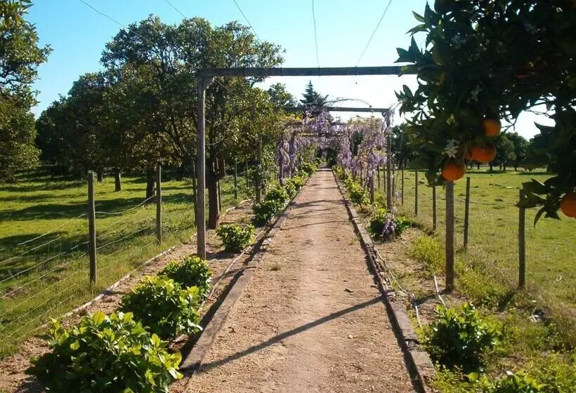 ホテル Quinta Do Casalinho