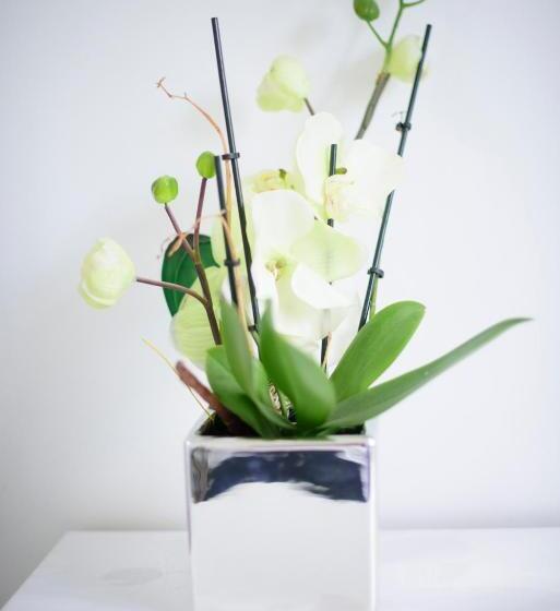 בית מלון כפרי Pause Gubin