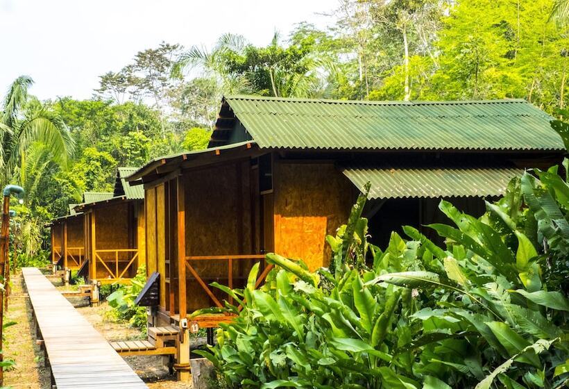 Hotel Amazon Planet