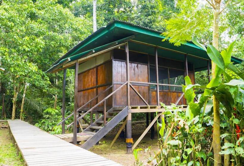 Hotel Amazon Planet