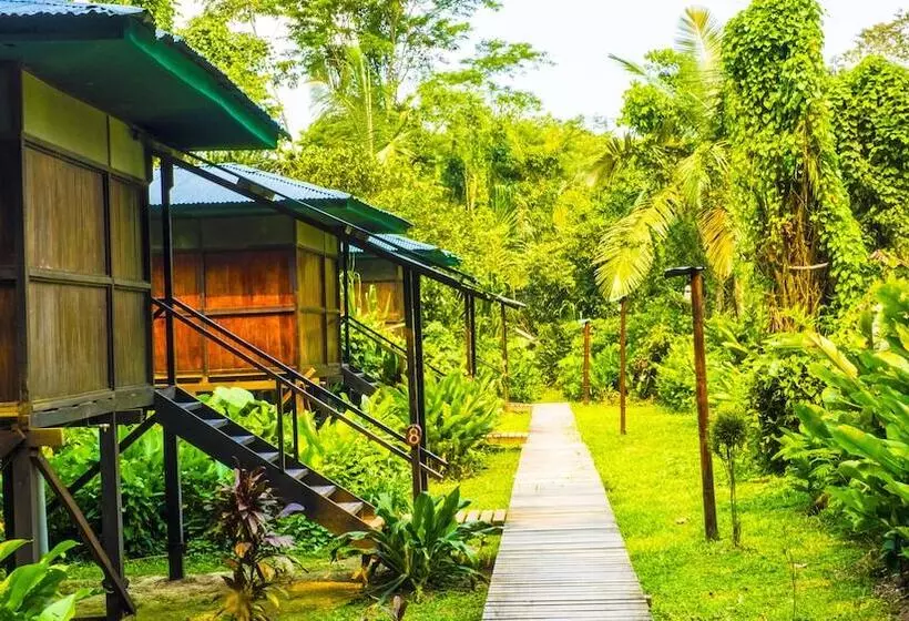 ホテル Amazon Planet