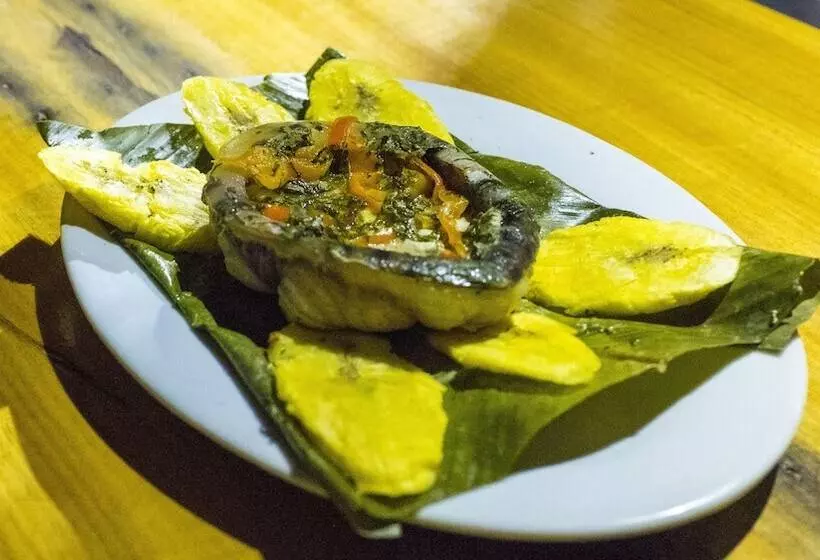 ホテル Amazon Planet