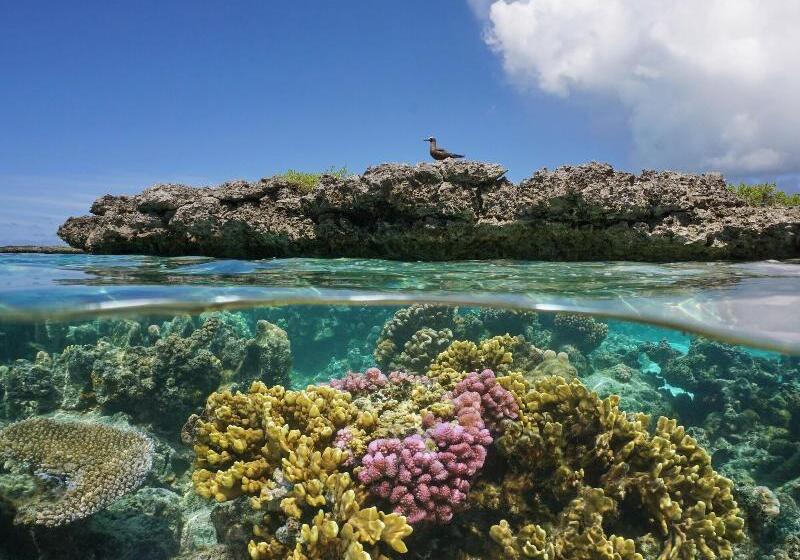 Fruit & Spice Wellness Resort Zanzibar