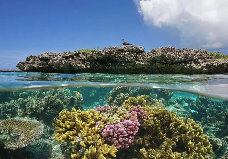 Fruit & Spice Wellness Resort Zanzibar