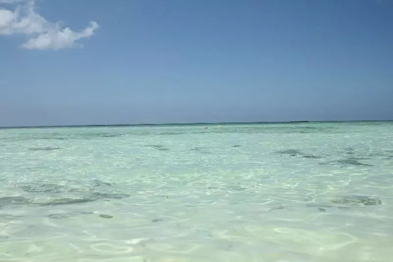 Fruit & Spice Wellness Resort Zanzibar