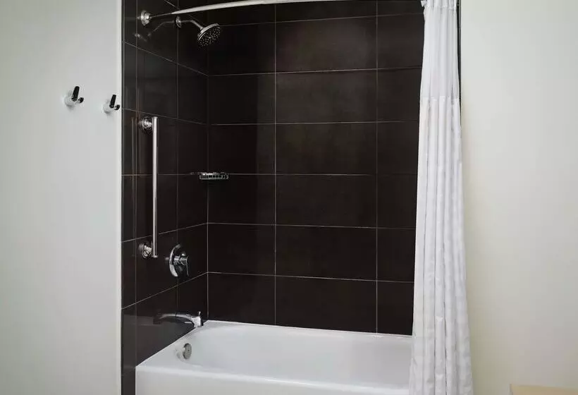 호텔 Hyatt House Atlanta Downtown