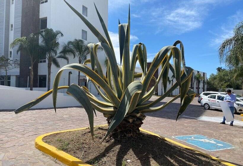 هتل Inhouse León