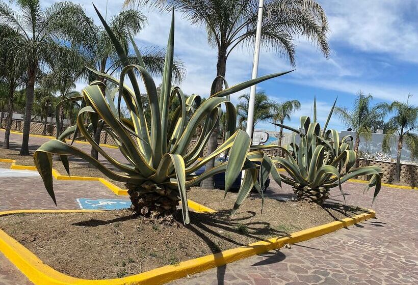 هتل Inhouse León