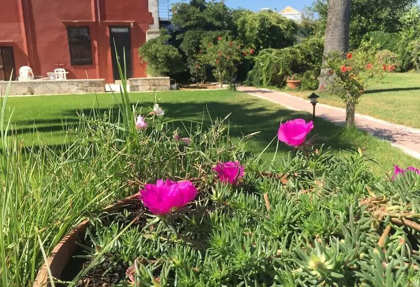 Отель Oasis Guesthouse