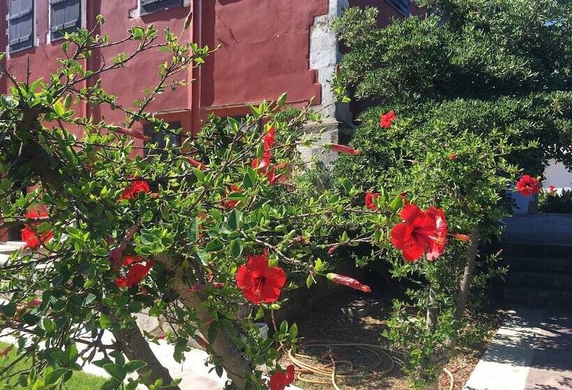 Отель Oasis Guesthouse