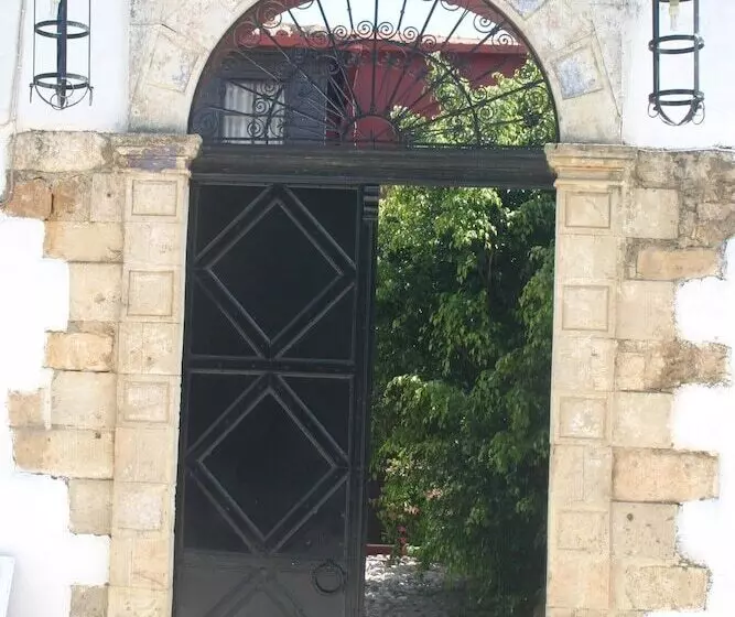 Отель Oasis Guesthouse