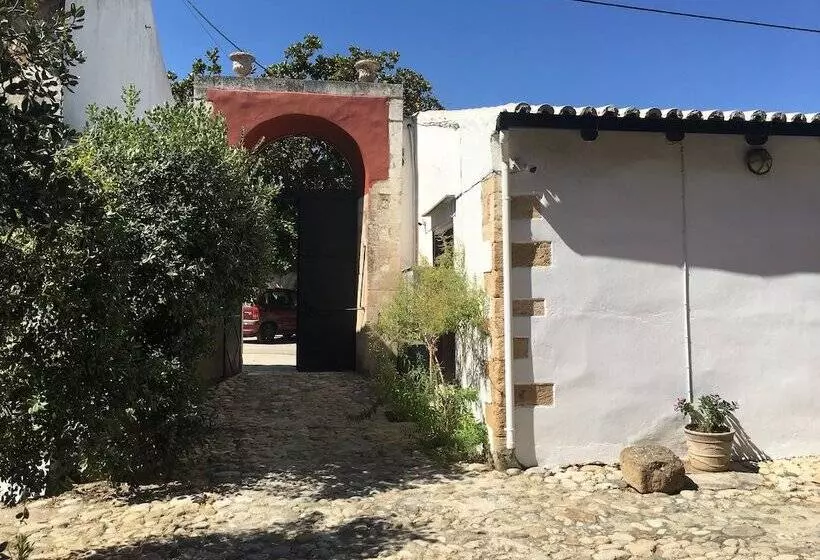 Отель Oasis Guesthouse