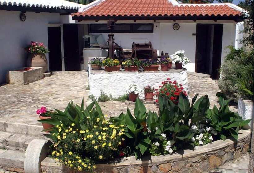 Отель Oasis Guesthouse