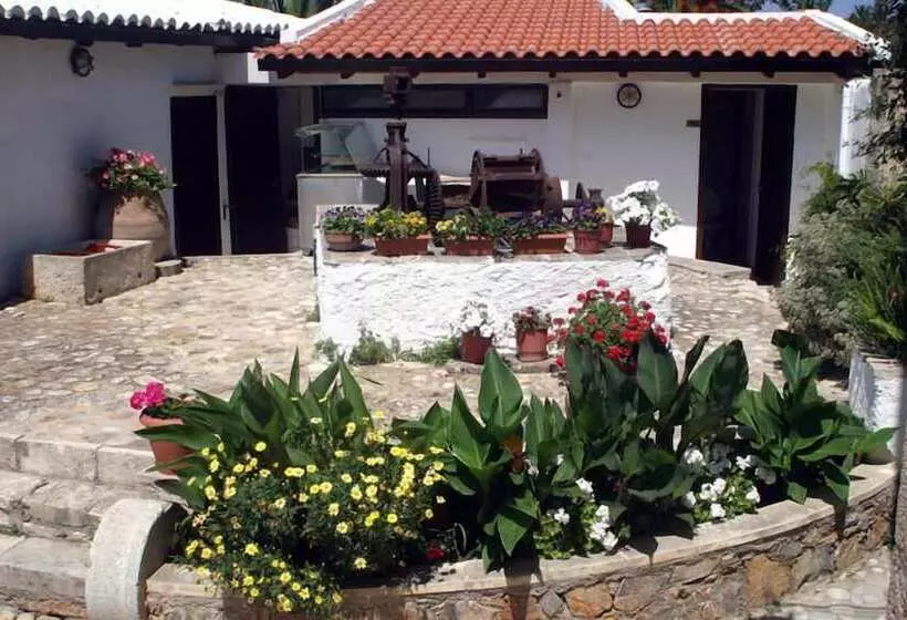 Отель Oasis Guesthouse